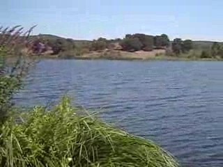 POYRAZLAR GÖLÜ/POYRAZLAR LAKE/ADAPAZARI-TURKİYE