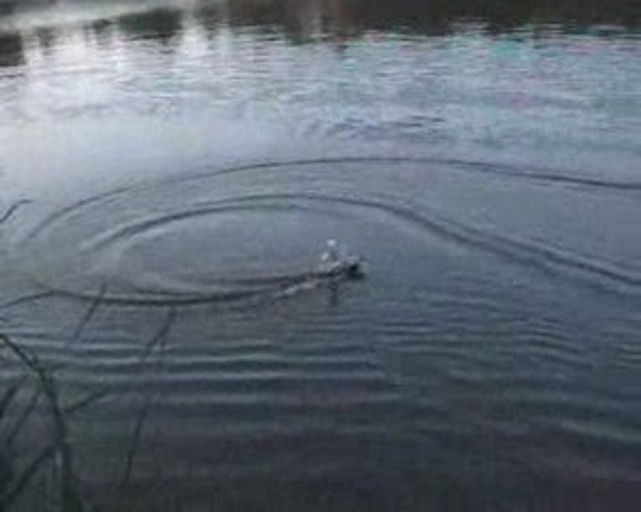 Surfeur RC "home made" 2eme essai à V.d'ascq