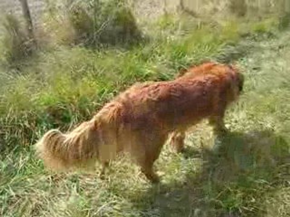 Titus, Rubens et Upan en ballade 016