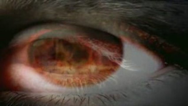 4. İMAM-I GAZALİ'DEN SUR'A ÜFLEME VE KABİRLERDEN HAŞRA GİDİŞ