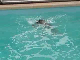 petite longueur dans la piscine