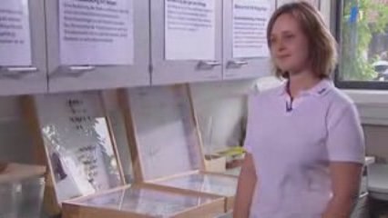 auxilliaires et ravageurs