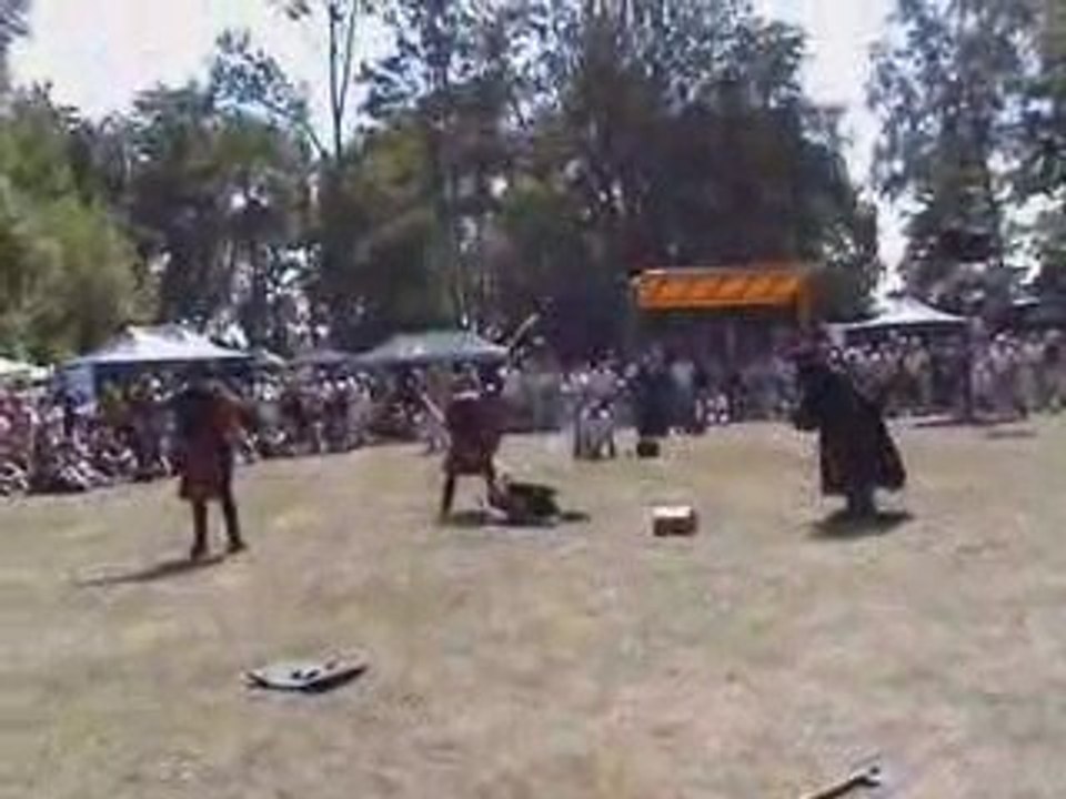 Cascade et escrime Médiévale