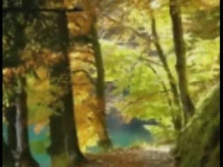 Paisajes del Alma