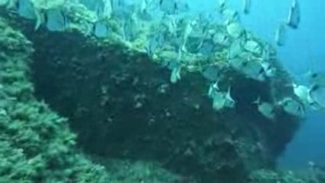 Corse 2009 Revellata Banc de Sars 2