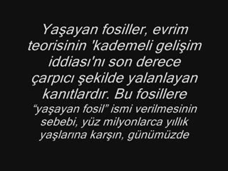 Evrim Teorisi (Habertürk Sansürsüz)