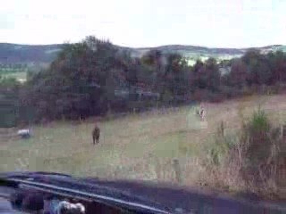 Rando 4x4 Haute Loire 5 sept 2009 IMG_0525