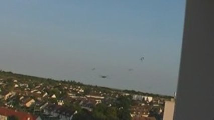 Le ballet des hirondelles en direct (6 septembre 2009 - 20h)