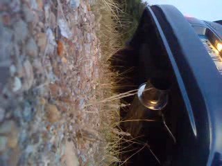 Toyota Celica ST202 HKS Silent Hi-power