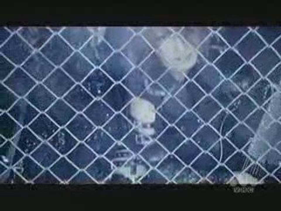D Tightrope PV