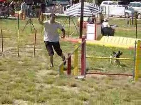 Brownie - Jumping St Mitre les Remparts 06-09-09