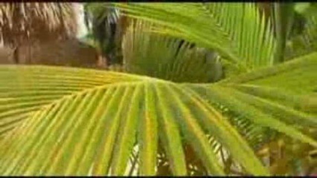 St. Thomas, Virgin Islands - Lindberg Beach