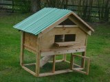 Building and designing an Eco-Friendly Backyard Chicken Coop