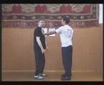 Wing Tsun Namen, Begriffe und Techniken Übersetzung