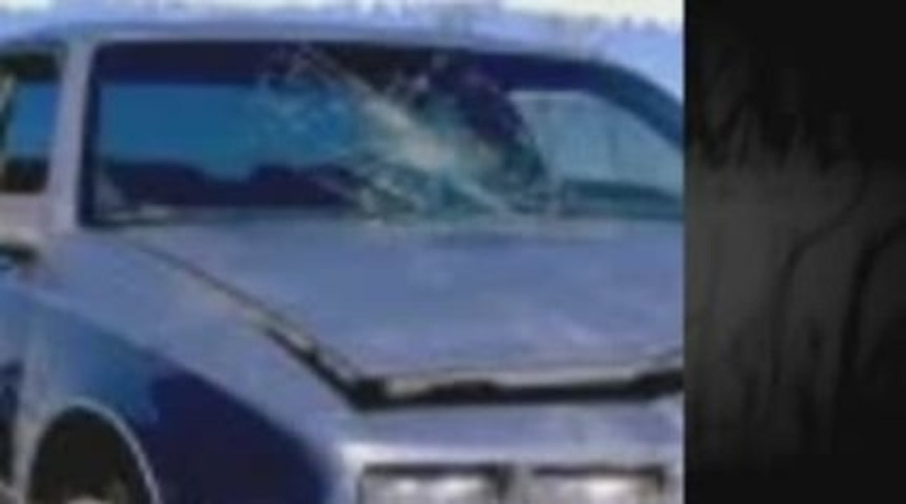Chesapeake Windshield Repair and Replacement