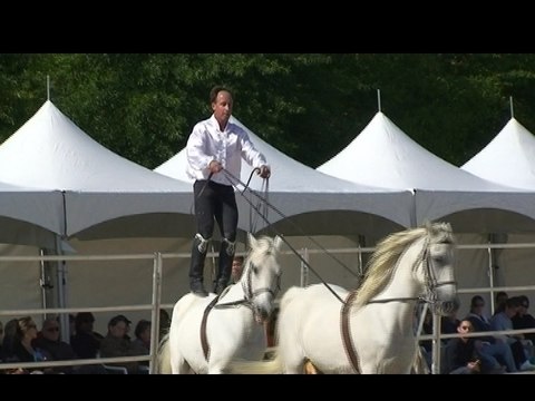 Christophe Chaussy et les Voltigeurs de Provence partie 1.1