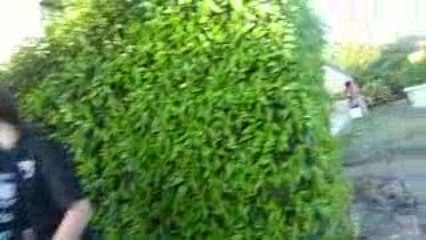 Annif Mayden en Bretagne (Y sur X)