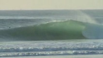 Surfing - quinoa is not dead