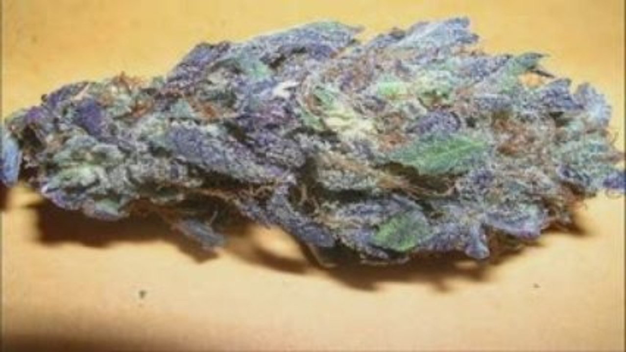 Best Buds Part 2  ( By KIllaKushTV)