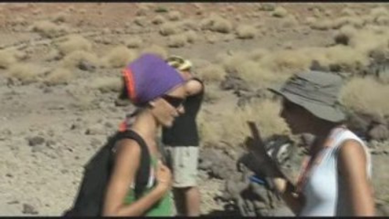 Canaries 2008 : les Bonus