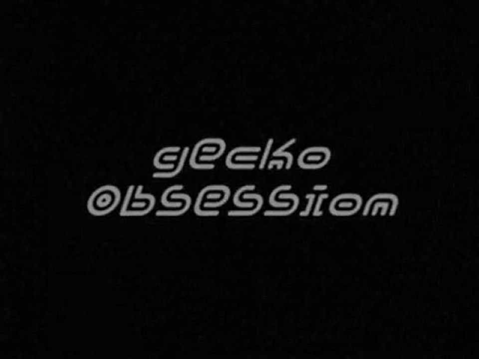gecko-obsession
