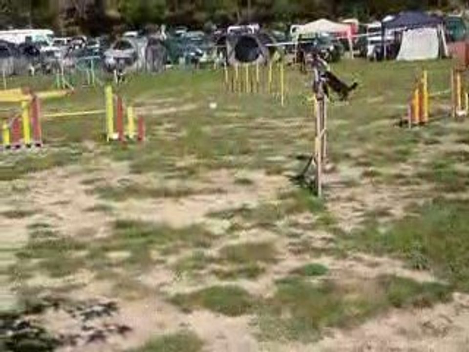 Angie - Jumping St Mitre les Remparts