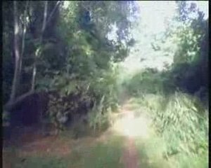 C'esrt interdit, c'est interdit !!!