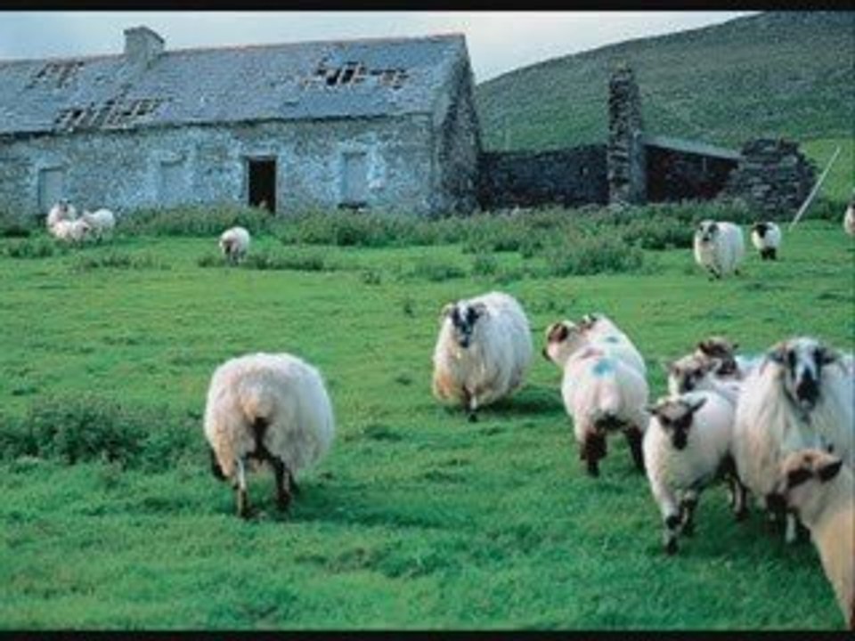 L'aranciaghju