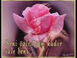 kenan seni çok özledim birtanem
