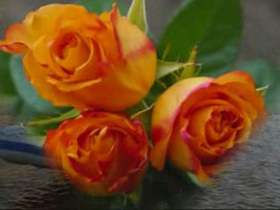 Gözlerime cizdim seni