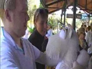 torture de peluche caracterisé