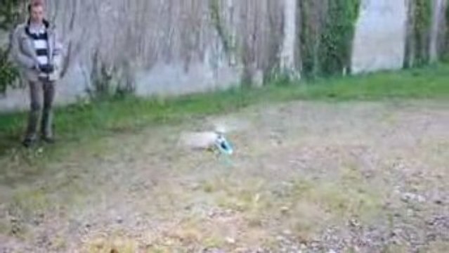 ESKY Honey Bee FP MAX - Vol de libellule