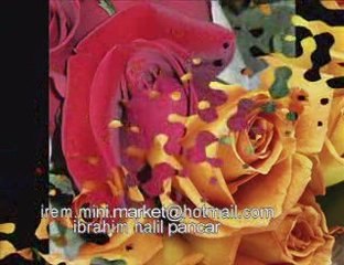 yazıklar olsun-ibrahim halil pancar