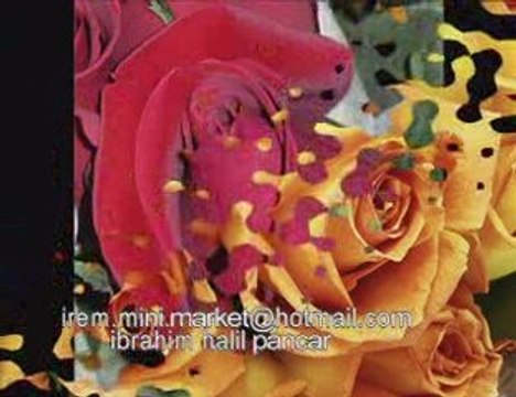 yazıklar olsun-ibrahim halil pancar