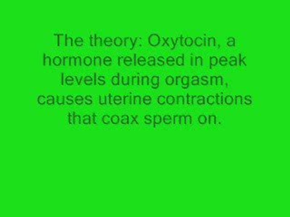 Female Orgasm Tips – Buying 500 love Making Tips Book?