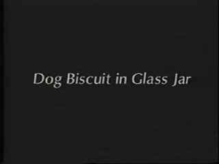 William Wegman Early Videos2