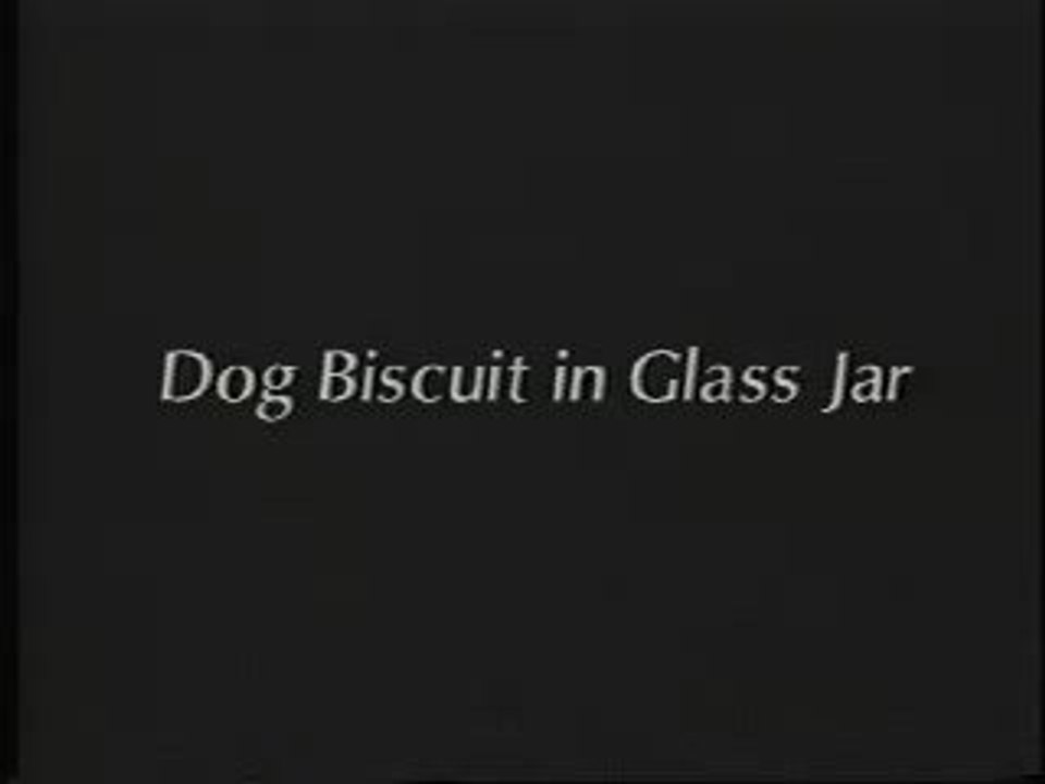 William Wegman Early Videos2