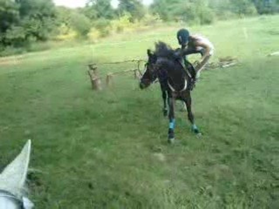 Chute a cheval