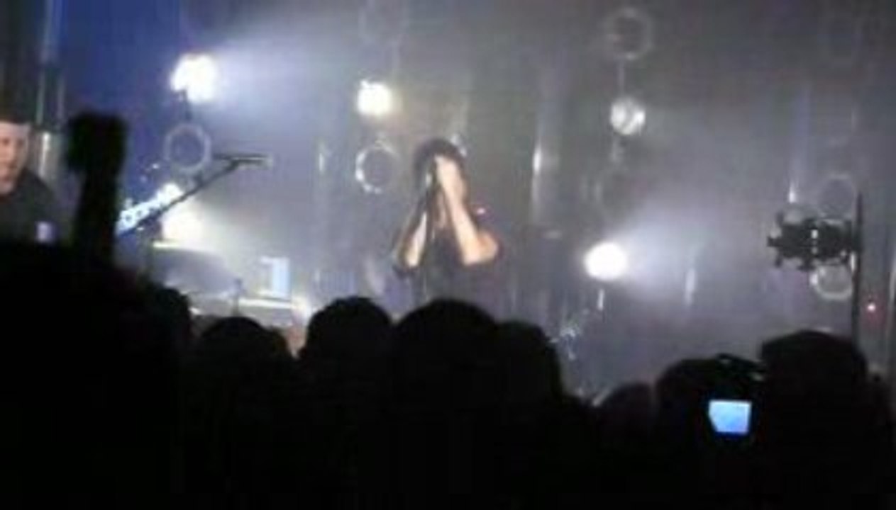 Nine Inch Nails, I Die: You Die - 09.06.09