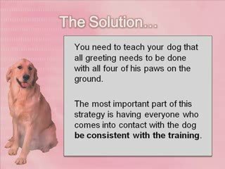 How to Stop Your Dog From Jumping on People