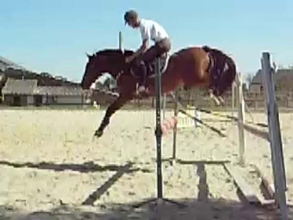 Quazac au Haras