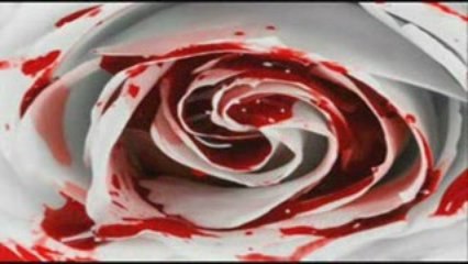 Scarlet's Remains - That Was A Lie