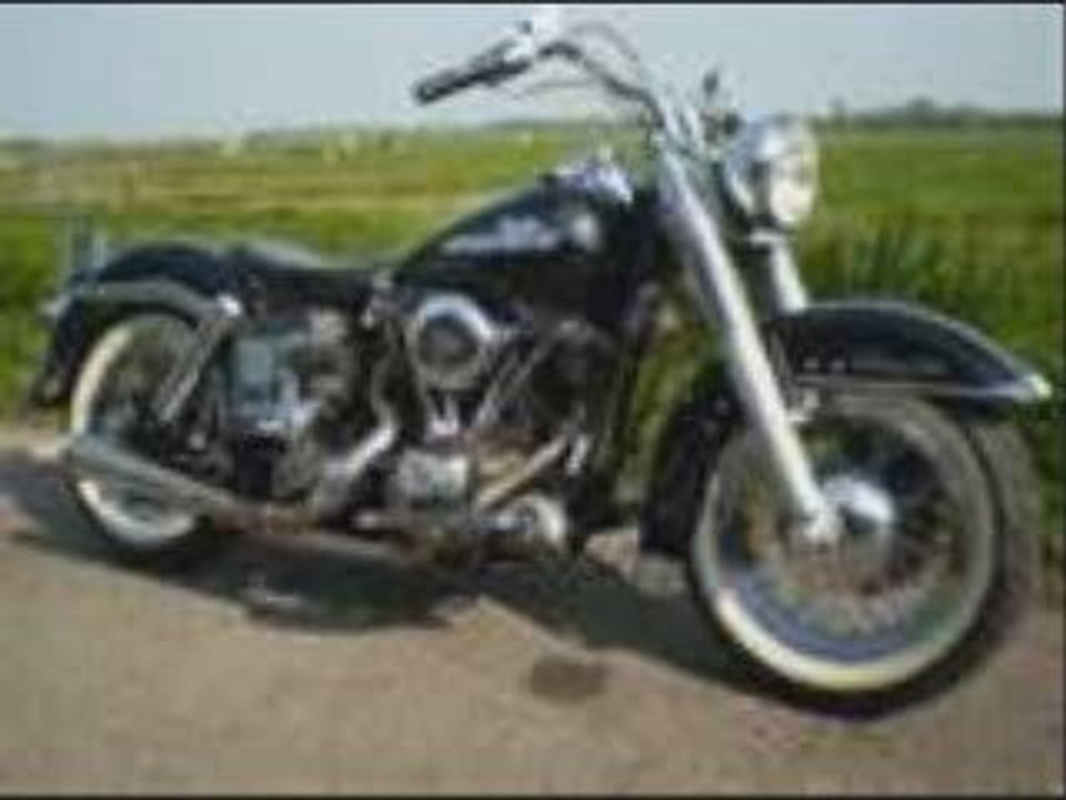 harley davison