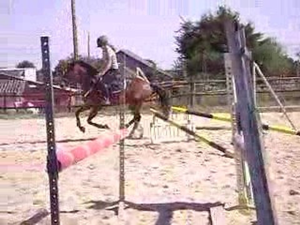 MOV02244