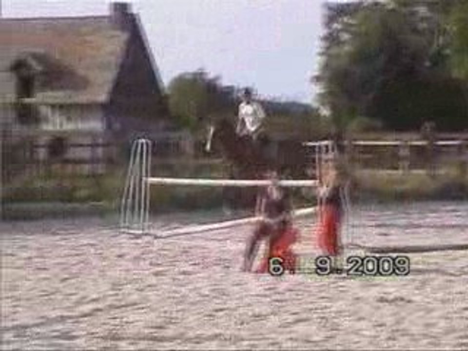 Quamiro &  Yoann-Séance obstacles de Vanessa Castel