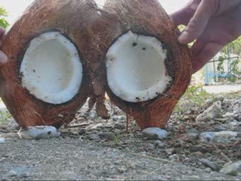 Vacance à MAKEMO 2009