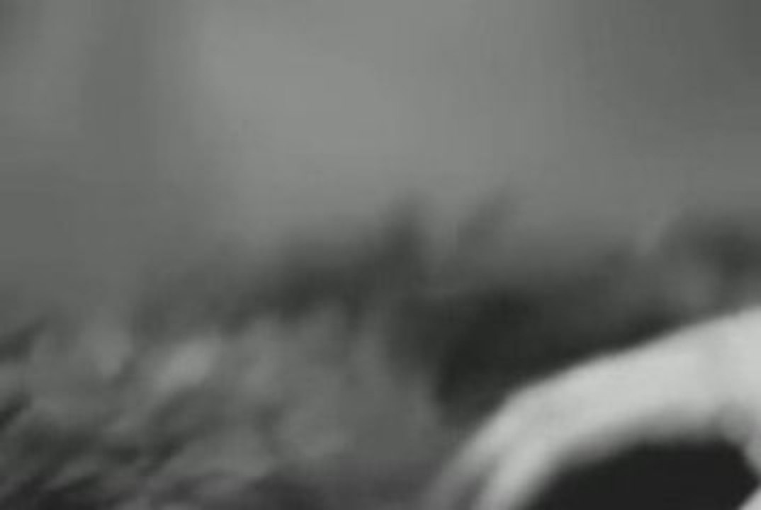 New Moon Edward/Bella/Jacob