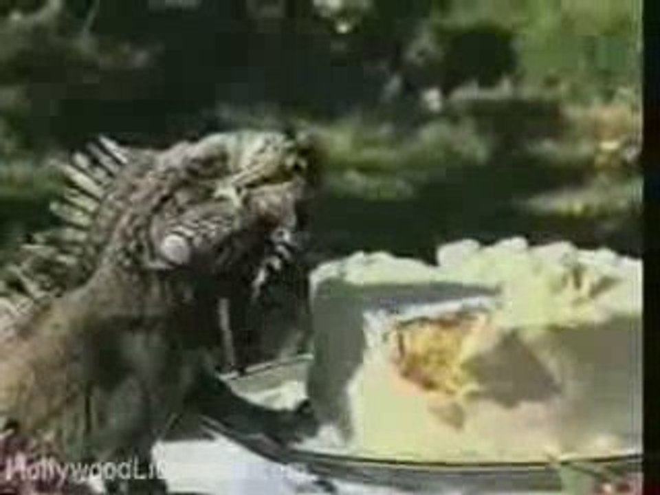 Lachvandedag.nl - Vreemde gast bij huwelijk