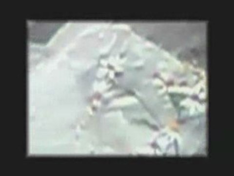 Daniel Danis - Forêt Fleur - Création