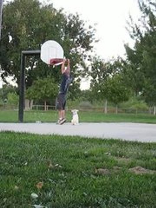 Spotter